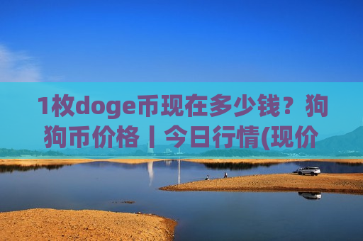 1枚doge币现在多少钱？狗狗币价格丨今日行情(现价2.6502元)
