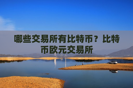 哪些交易所有比特币？比特币欧元交易所