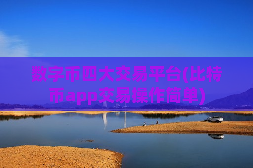 数字币四大交易平台(比特币app交易操作简单)