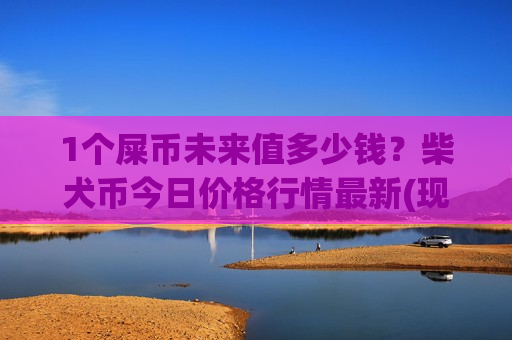 1个屎币未来值多少钱？柴犬币今日价格行情最新(现价0.00017821元)