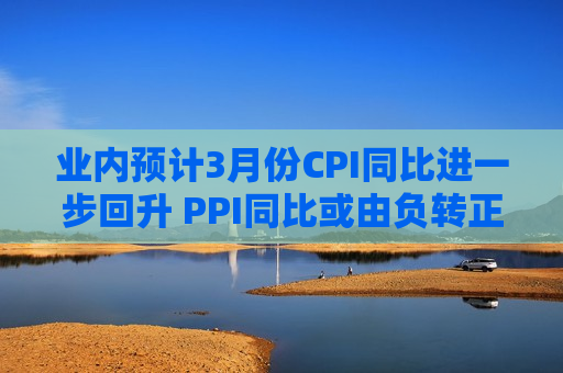 业内预计3月份CPI同比进一步回升 PPI同比或由负转正