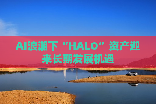 AI浪潮下“HALO”资产迎来长期发展机遇