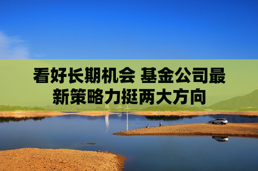 看好长期机会 基金公司最新策略力挺两大方向