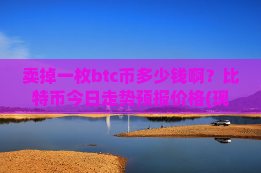 卖掉一枚btc币多少钱啊？比特币今日走势预报价格(现价738856.81元)