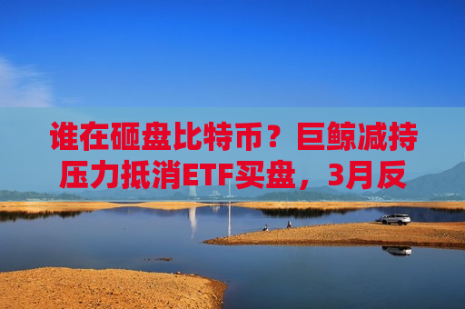 谁在砸盘比特币？巨鲸减持压力抵消ETF买盘，3月反弹难掩需求真空