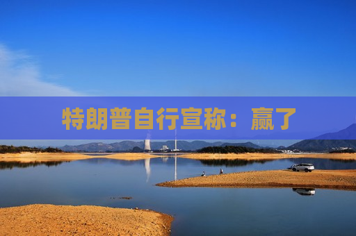 特朗普自行宣称:赢了 特朗普自行宣称:赢了
