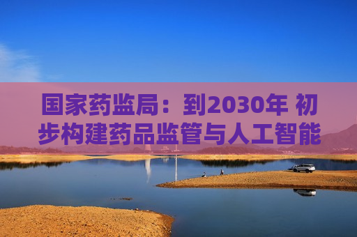 国家药监局：到2030年 初步构建药品监管与人工智能融合创新体系