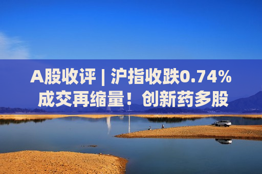 A股收评 | 沪指收跌0.74% 成交再缩量！创新药多股涨停