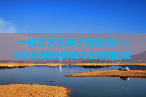 一枚柴犬币多少钱实时？shib币最新价格今日价格(现价0.00020389元)