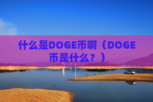 什么是DOGE币啊（DOGE币是什么？）