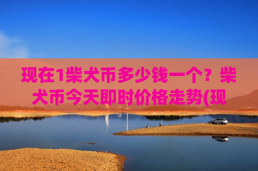 现在1柴犬币多少钱一个？柴犬币今天即时价格走势(现价0.00019718元)