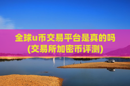 全球u币交易平台是真的吗(交易所加密币评测)