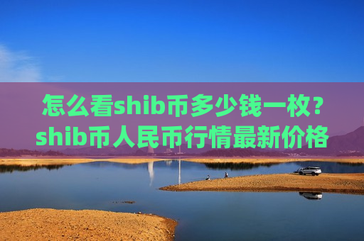 怎么看shib币多少钱一枚？shib币人民币行情最新价格走势图(现价0.00019754元)
