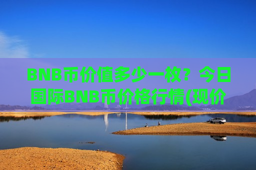 BNB币价值多少一枚？今日国际BNB币价格行情(现价5301.21元)