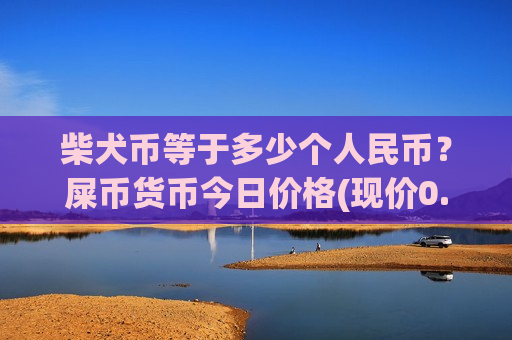 柴犬币等于多少个人民币？屎币货币今日价格(现价0.00019718元)