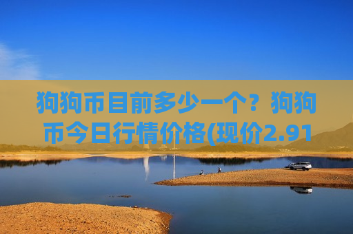 狗狗币目前多少一个？狗狗币今日行情价格(现价2.9162元)