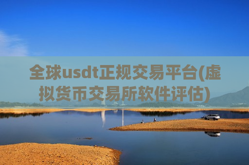 全球usdt正规交易平台(虚拟货币交易所软件评估)