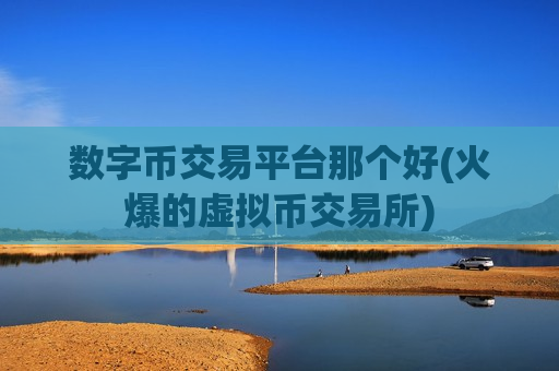 数字币交易平台那个好(火爆的虚拟币交易所)