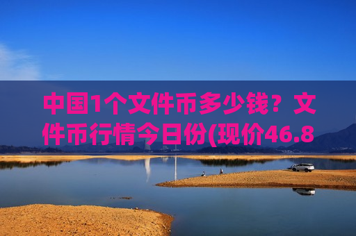 中国1个文件币多少钱？文件币行情今日份(现价46.8143元)