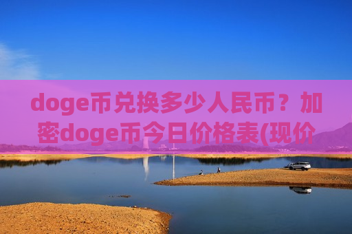 doge币兑换多少人民币？加密doge币今日价格表(现价2.8936元)