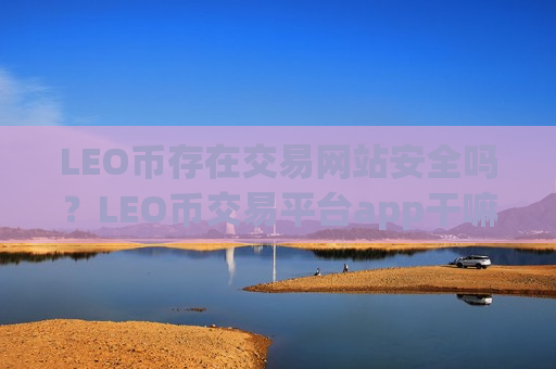 LEO币存在交易网站安全吗？LEO币交易平台app干嘛的