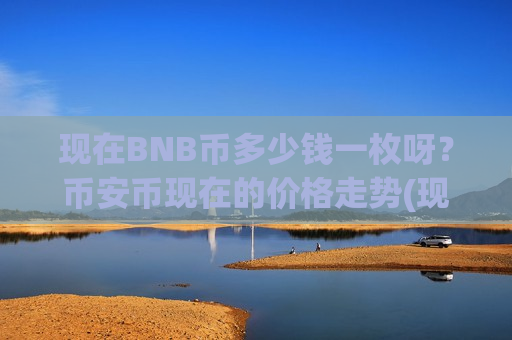 现在BNB币多少钱一枚呀？币安币现在的价格走势(现价5256.86元)