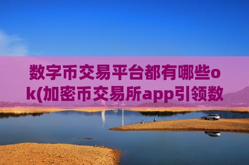 数字币交易平台都有哪些ok(加密币交易所app引领数字金融)