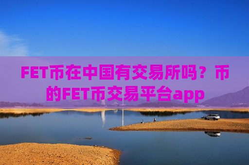 FET币在中国有交易所吗？币的FET币交易平台app