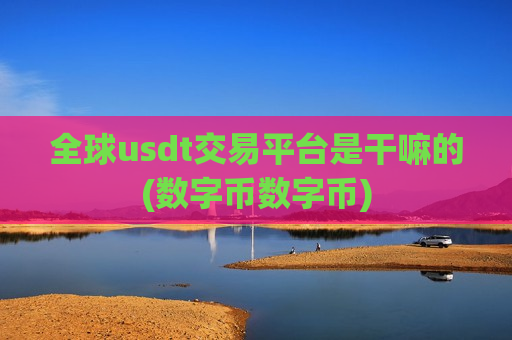全球usdt交易平台是干嘛的(数字币数字币)