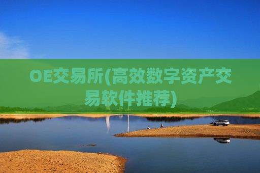OE交易所(高效数字资产交易软件推荐)