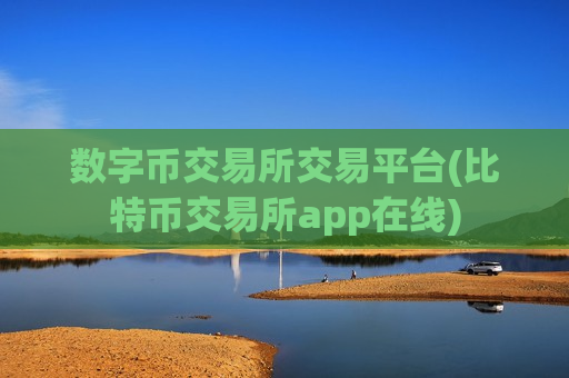 数字币交易所交易平台(比特币交易所app在线)