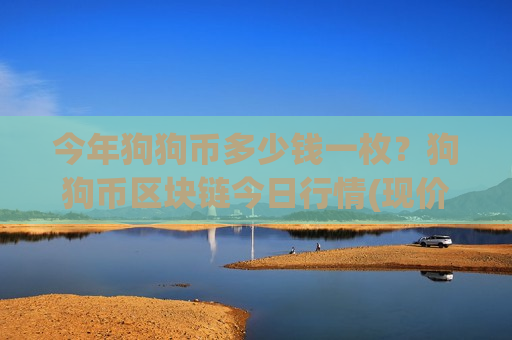 今年狗狗币多少钱一枚？狗狗币区块链今日行情(现价2.9113元)