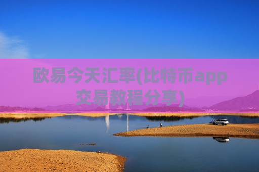 欧易今天汇率(比特币app交易教程分享)