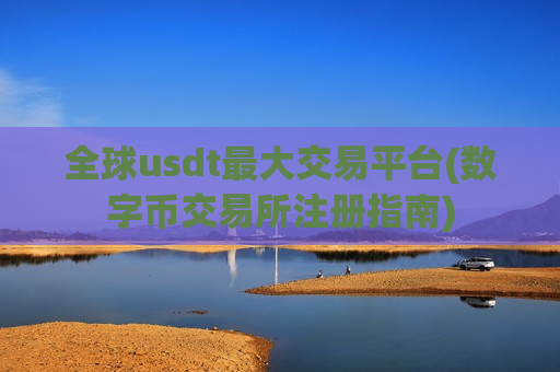 全球usdt最大交易平台(数字币交易所注册指南)