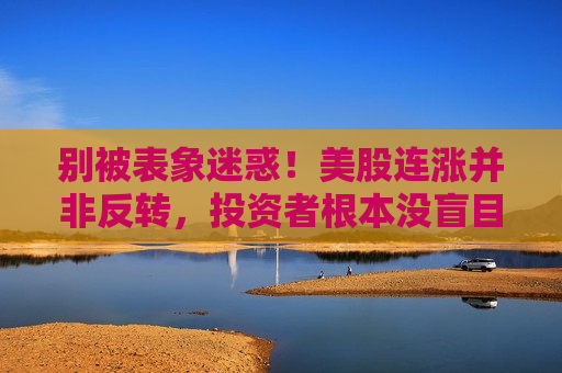 别被表象迷惑！美股连涨并非反转，投资者根本没盲目追高