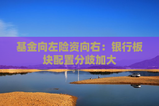 基金向左险资向右：银行板块配置分歧加大