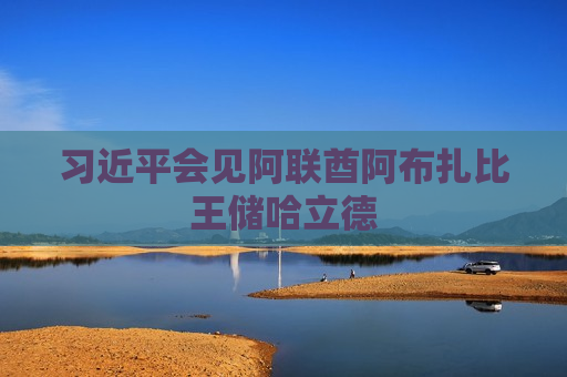 习近平会见阿联酋阿布扎比王储哈立德