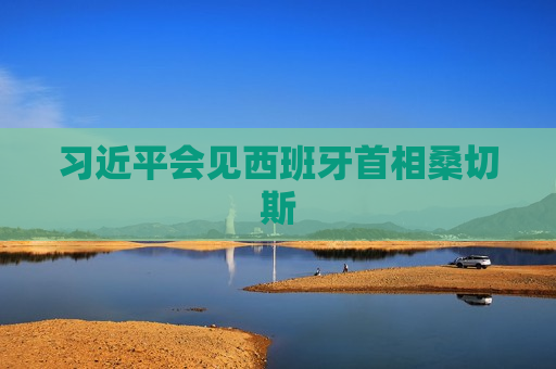 习近平会见西班牙首相桑切斯