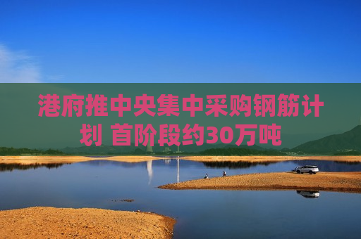 港府推中央集中采购钢筋计划 首阶段约30万吨