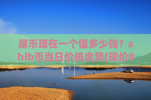 屎币现在一个值多少钱？shib币当日价格走势(现价0.00019675元)