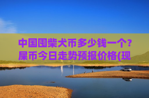中国囤柴犬币多少钱一个？屎币今日走势预报价格(现价0.00019636元)