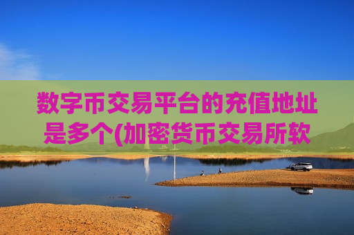 数字币交易平台的充值地址是多个(加密货币交易所软件功能测评)