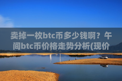 卖掉一枚btc币多少钱啊？午间btc币价格走势分析(现价782668.11元)