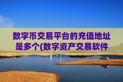 数字币交易平台的充值地址是多个(数字资产交易软件操作更流畅)