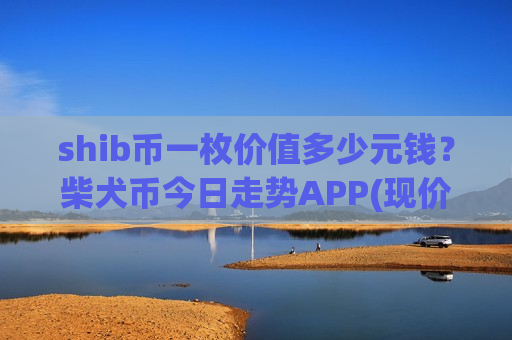 shib币一枚价值多少元钱？柴犬币今日走势APP(现价0.0001962元)