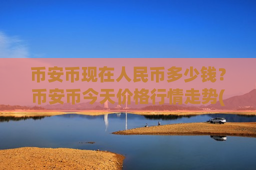币安币现在人民币多少钱？币安币今天价格行情走势(现价5239.29元)