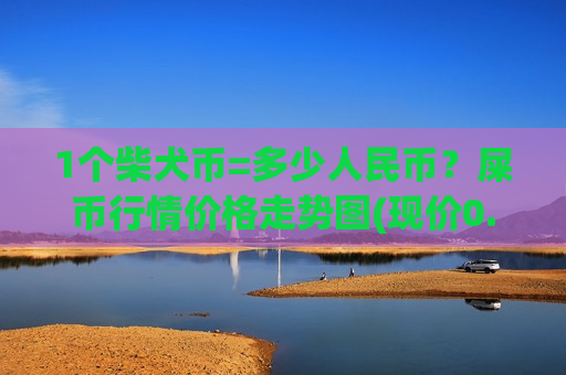 1个柴犬币=多少人民币？屎币行情价格走势图(现价0.00019657元)