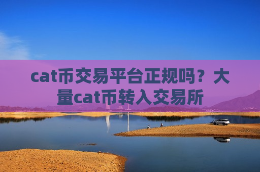 cat币交易平台正规吗？大量cat币转入交易所