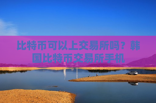 比特币可以上交易所吗？韩国比特币交易所手机