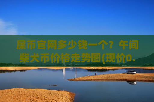 屎币官网多少钱一个？午间柴犬币价格走势图(现价0.00019759元)